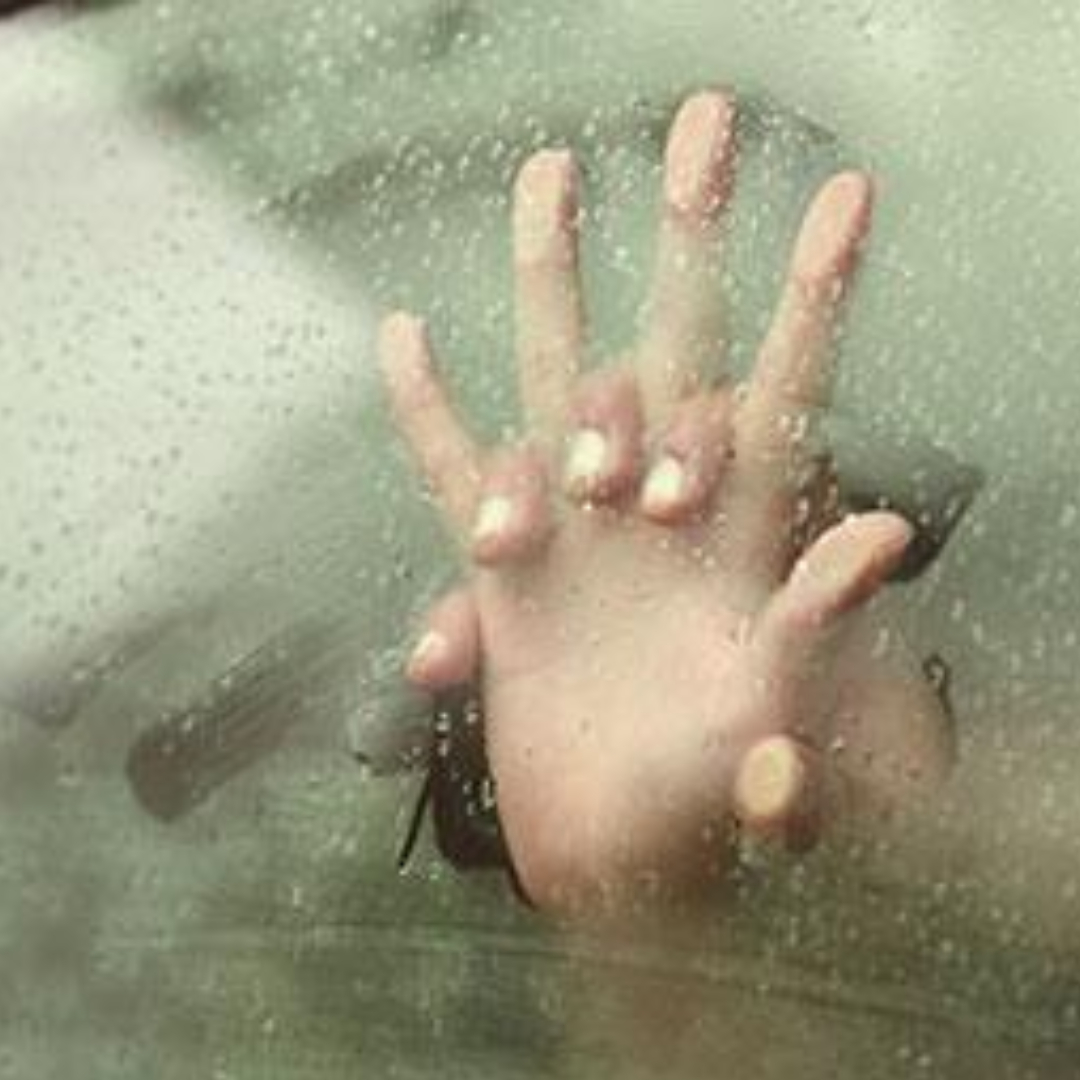 Senior Dogging Article Image